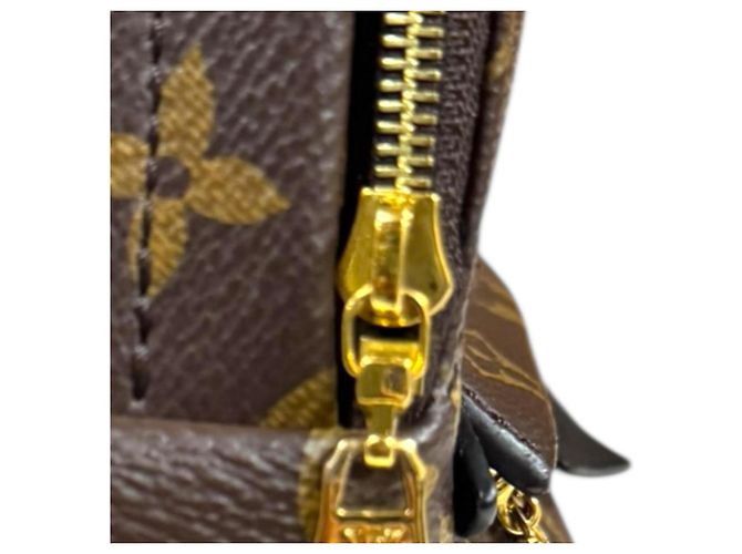 Zaino Palm Springs MINI Monogram Louis Vuitton Marrone Monogramma - vista 11