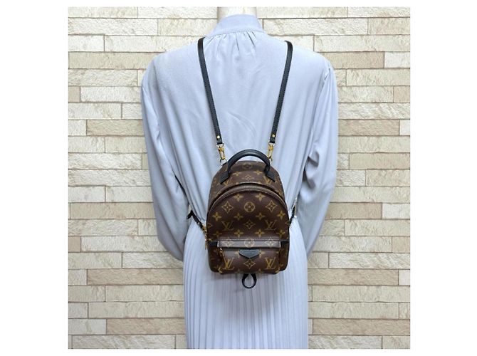 Zaino Palm Springs MINI Monogram Louis Vuitton Marrone Monogramma - vista 2