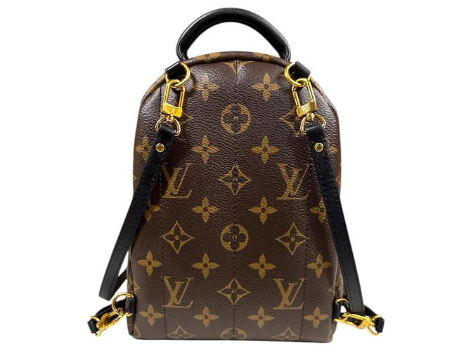 Zaino Palm Springs MINI Monogram Louis Vuitton Marrone Monogramma - vista 3