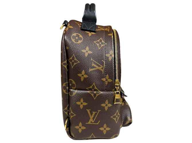 Zaino Palm Springs MINI Monogram Louis Vuitton Marrone Monogramma - vista 4
