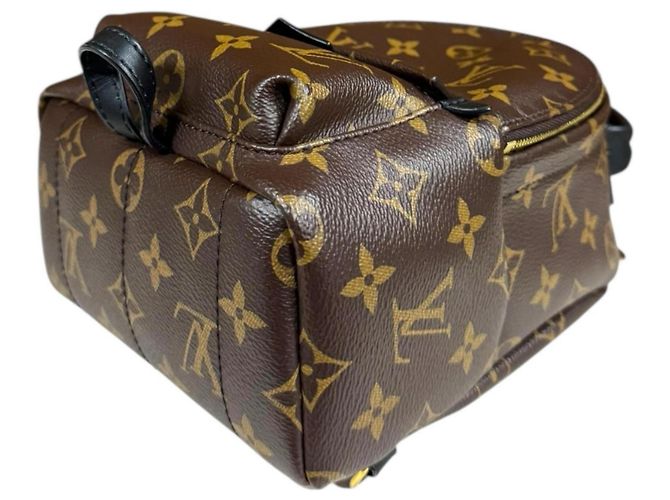 Zaino Palm Springs MINI Monogram Louis Vuitton Marrone Monogramma - vista 5