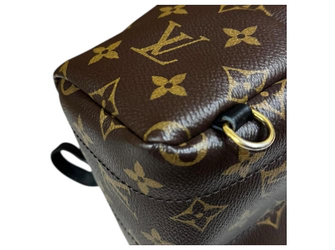 Zaino Palm Springs MINI Monogram Louis Vuitton Marrone Monogramma - vista 8