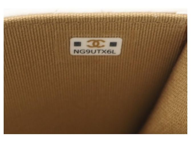 Pochette a spalla matelassé in pelle di agnello Chanel AP1628 Bianco - vista 16
