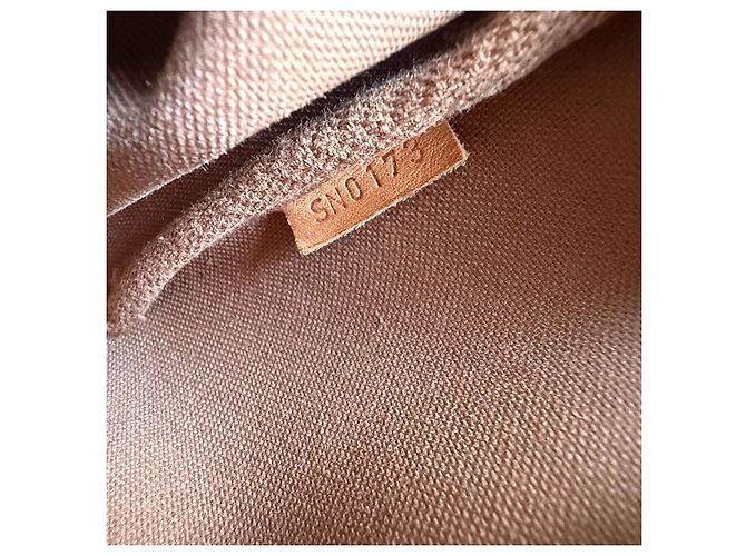 Borsa a tracolla Eva monogram di Louis Vuitton Marrone - vista 13