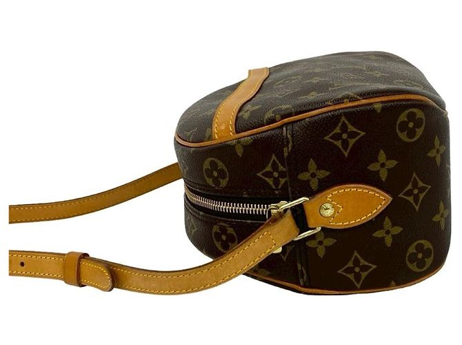 Bolsa de ombro em couro com padrão de logo Monogram Blois da Louis Vuitton Marrom - vista 5