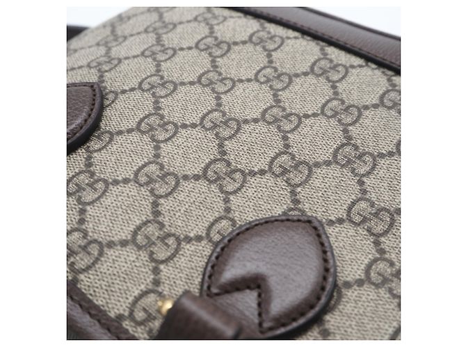 Borsa tote Ophidia piccola di Gucci Marrone - vista 6