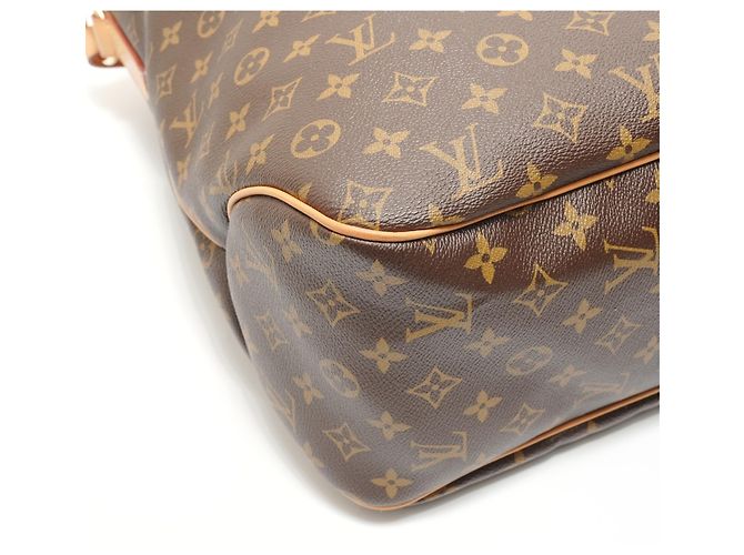 Borsa a Spalla Louis Vuitton Monogram Delightful GM Marrone - vista 5