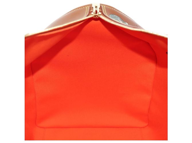 LOUIS VUITTON Borsa Keepall Bandoulière 55 Catgram Pelle M52951 LV Auth 156736SM Marrone - vista 29
