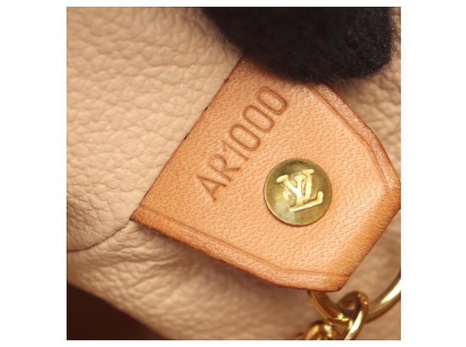 Borsa Bucket PM Louis Vuitton Marrone - vista 5