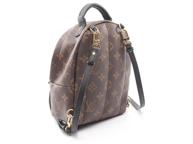 Zaino/borsa Palm Springs Mini di Louis Vuitton Marrone Nero - vista 2