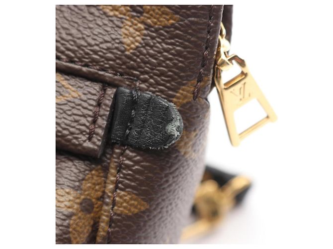 Zaino/borsa Palm Springs Mini di Louis Vuitton Marrone Nero - vista 8