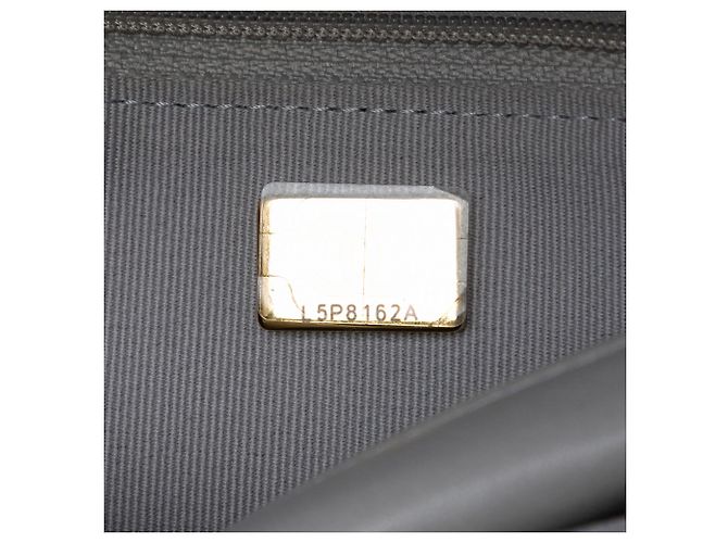 Wallet On Chain Cartera con Cadena 19 de Cuir de Cordero Gris de Chanel Castaño - vista 6