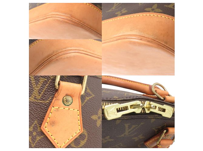 Borsa a mano Alma PM donna Louis Vuitton Marrone - vista 10