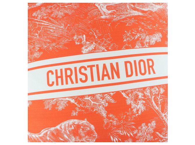 Coussin Dioliviera HYP02RCO0U de Christian Dior Orange - vue 3