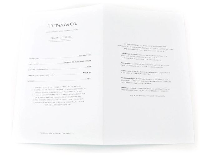 Collana in platino e diamanti By the Yard di Elsa Peretti di Tiffany & Co. Argento - vista 10