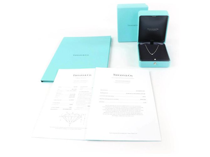 Collana in platino e diamanti By the Yard di Elsa Peretti di Tiffany & Co. Argento - vista 2