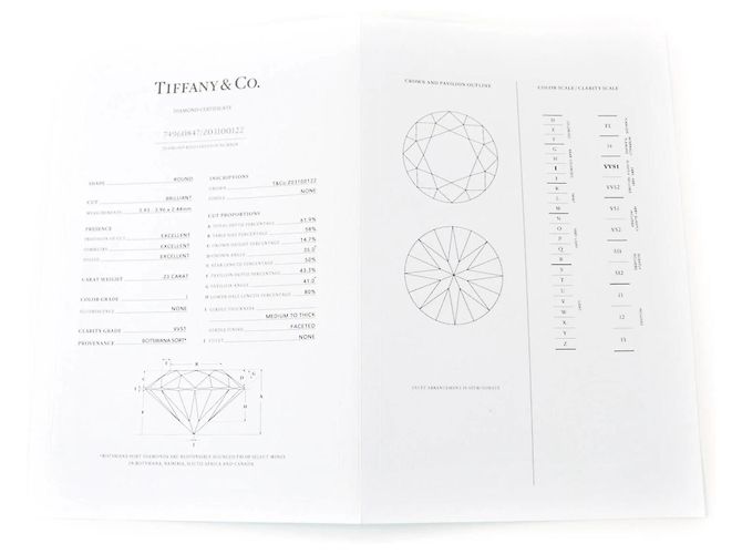 Collana in platino e diamanti By the Yard di Elsa Peretti di Tiffany & Co. Argento - vista 9