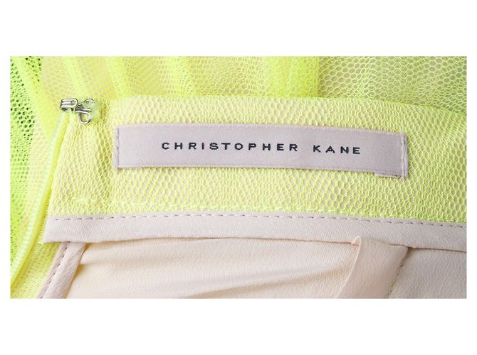 Falda de tul plisada Christopher Kane - Años 10 Verde - vista 4