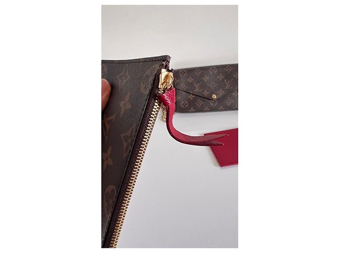 Pochette Félicie Pochette Felicie Monogram Louis Vuitton Marrone - vista 10
