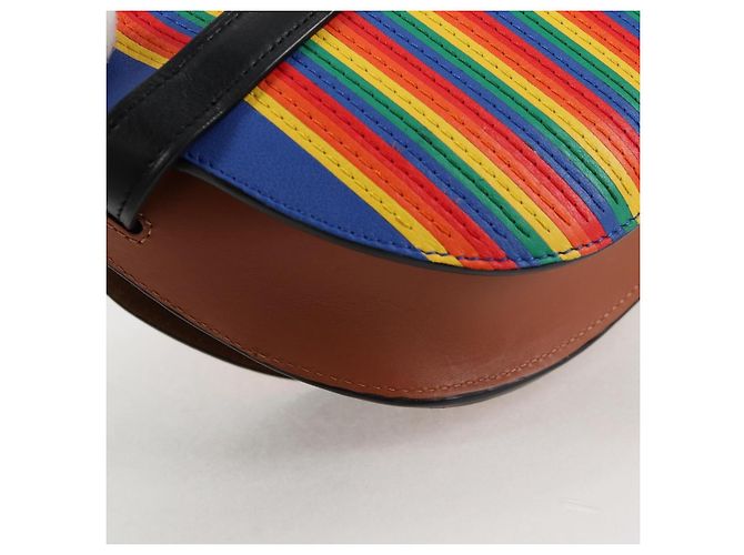 LOEWE Borsa a Spalla Anagram Rainbow Gate in Pelle Marrone Auth 134968SAM - vista 17