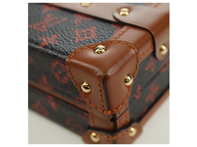 LOUIS VUITTON Catgram Petite Mar Borsa a Spalla M44407 LV Auth AMZ518SM Monogramma - vista 18