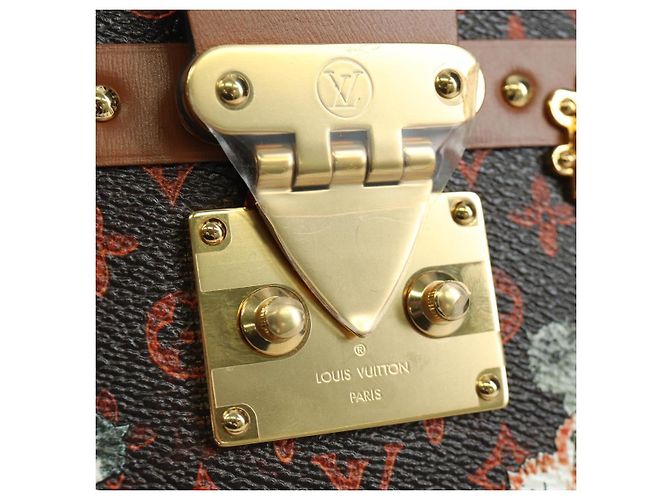 LOUIS VUITTON Catgram Petite Mar Borsa a Spalla M44407 LV Auth AMZ518SM Monogramma - vista 23