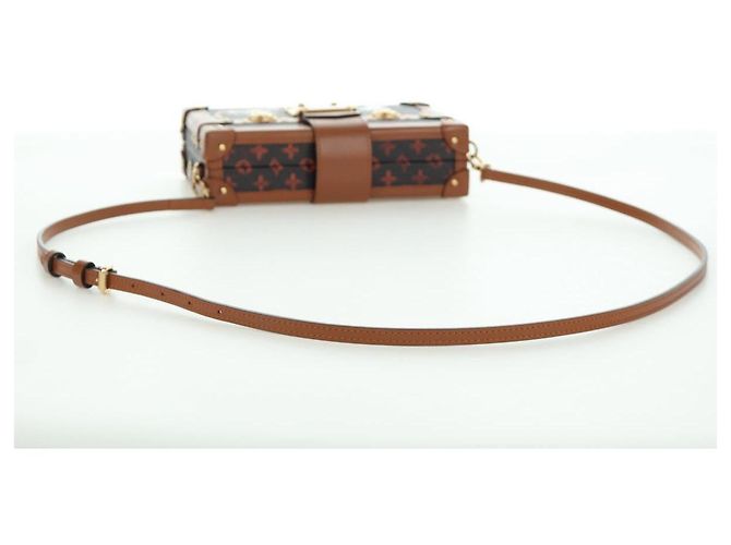 LOUIS VUITTON Catgram Petite Mar Borsa a Spalla M44407 LV Auth AMZ518SM Monogramma - vista 7