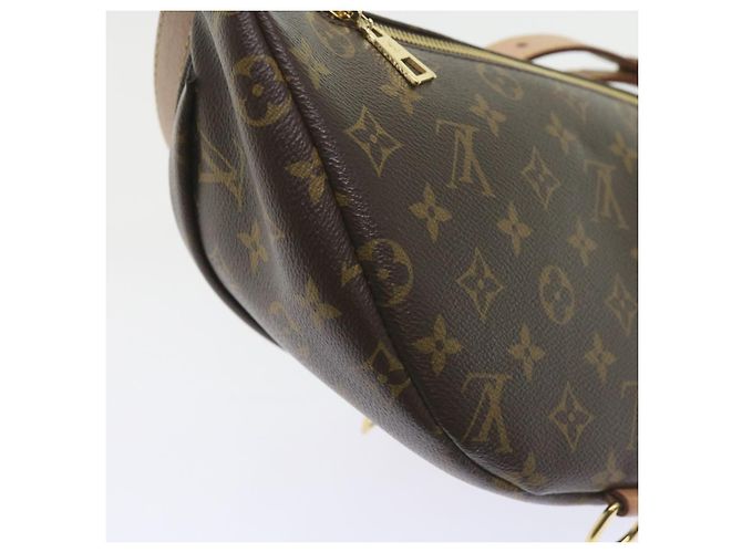 LOUIS VUITTON Borsa a Fanny Monogram Borsa a Spalla M43644 LV Auth 59363SAM Monogramma - vista 19