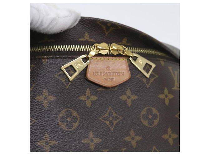 LOUIS VUITTON Borsa a Fanny Monogram Borsa a Spalla M43644 LV Auth 59363SAM Monogramma - vista 22
