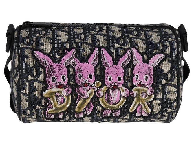 Borsa a spalla in tela obliqua Trotter Christian Dior in coniglio blu Auth 108919SM - vista 13