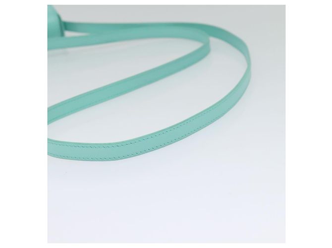 Céline Borsa a spalla mini Claude Triomphe in pelle azzurro chiaro Auth 114195SAV Blu chiaro - vista 7