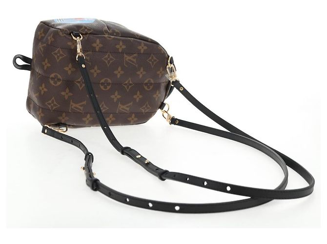 LOUIS VUITTON Bolsa de Ombro Palm Springs Monogram World Tour M42971 Auth 135119SAM Monograma - vista 8