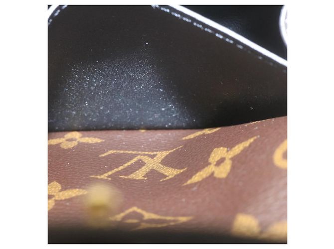LOUIS VUITTON Cintura Monogram Daily Multi Pocket Borsa a Vita M0236Y Auth ai676SAM Monogramma - vista 16