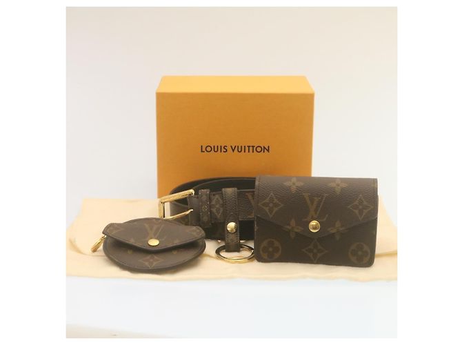 LOUIS VUITTON Cintura Monogram Daily Multi Pocket Borsa a Vita M0236Y Auth ai676SAM Monogramma - vista 22