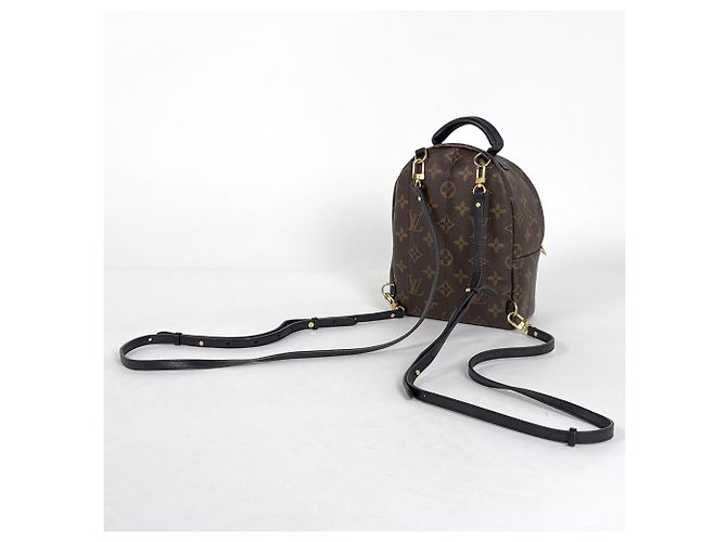 Zaino Palm Springs MINI di Louis Vuitton Marrone - vista 2