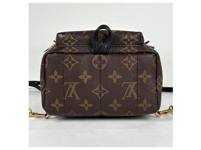 Zaino Palm Springs MINI di Louis Vuitton Marrone - vista 3
