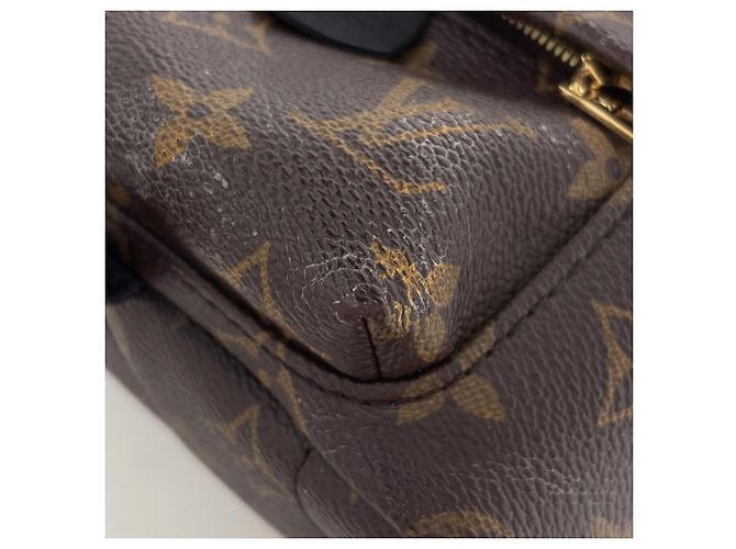 Zaino Palm Springs MINI di Louis Vuitton Marrone - vista 5