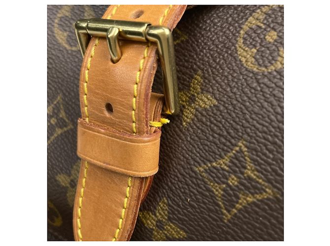 Zaino Montsouris GM Louis Vuitton Marrone - vista 5