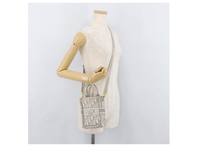 Borsa libro verticale in tela Trotter Christian Dior Mini Borsa 2way Auth BAZ782A Marrone D'oro - vista 22