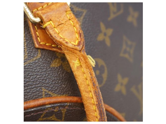 Borsa a mano Ellipse MM Monogramma Louis Vuitton Marrone - vista 11