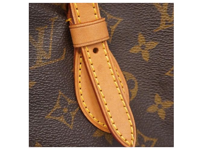 Borsa Tote Bucket PM Monogram Louis Vuitton Marrone - vista 12