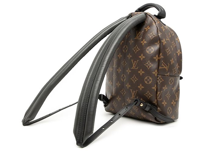 Louis Vuitton Marrón Monograma Palm Springs PM Castaño - vista 2