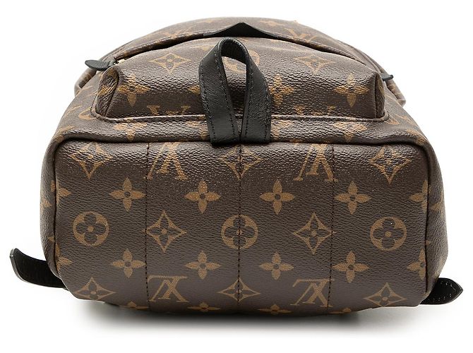 Louis Vuitton Marrón Monograma Palm Springs PM Castaño - vista 3