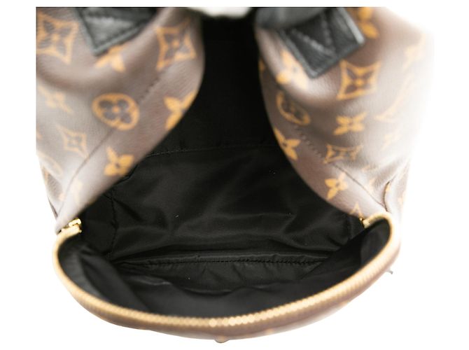 Louis Vuitton Marrón Monograma Palm Springs PM Castaño - vista 4