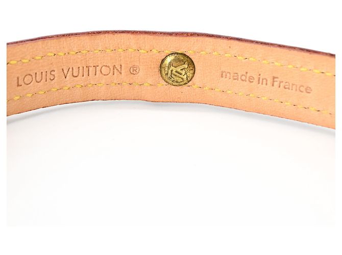 Louis Vuitton Monogram Collier Baxter PM Dog Collar Brown - view 7