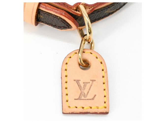 Louis Vuitton Monogram Collier Baxter PM Dog Collar Brown - view 9