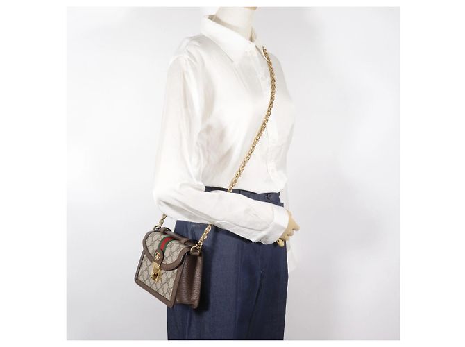 Borsa a Spalla Ophidia di Gucci Marrone - vista 10