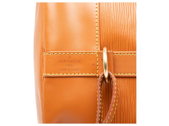 Louis Vuitton Marrone Epi Randonnee PM - vista 5