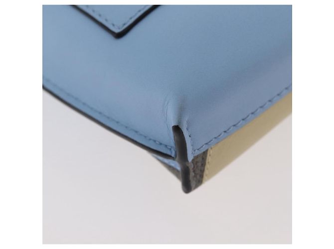 LOEWE LOEWE �~ Studio Ghibli Il Mio Vicino Totoro Pochette in Pelle Blu Auth 167190SM Blu chiaro - vista 17