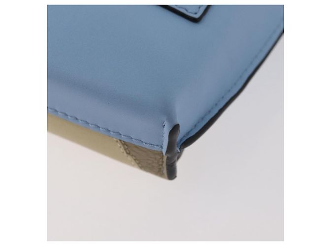 LOEWE LOEWE �~ Studio Ghibli Il Mio Vicino Totoro Pochette in Pelle Blu Auth 167190SM Blu chiaro - vista 18
